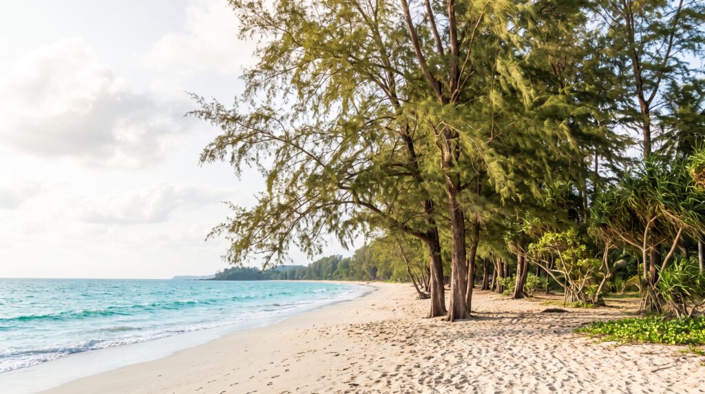 Eine sonnige Ansicht eines langen, unberührten tropischen Strandes mit weißem Sand und türkisfarbenem Ozean. Eine Reihe hoher, schlanker Kasuarinenbäume säumt den Strand auf der rechten Seite und wirft Schatten auf den Sand. Sanfte Wellen brechen am Ufer, und in der Ferne ist eine dicht bewaldete Landzunge sichtbar. Der Himmel ist hellblau mit lockeren, flauschigen Wolken. Der Strand scheint menschenleer zu sein, nur Fußabdrücke sind im Sand zu sehen